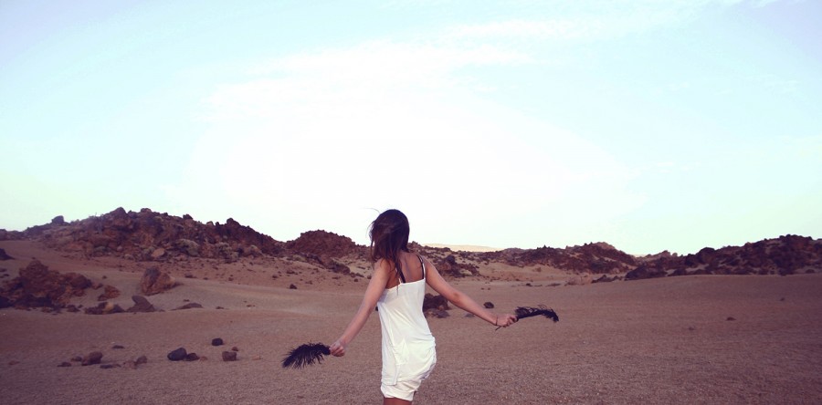 Etiam commodo convallis