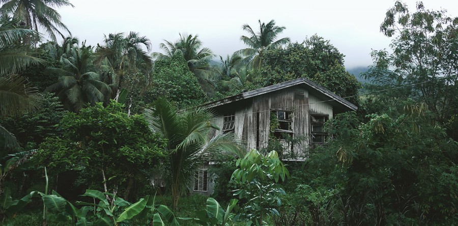 Etiam dictum egestas