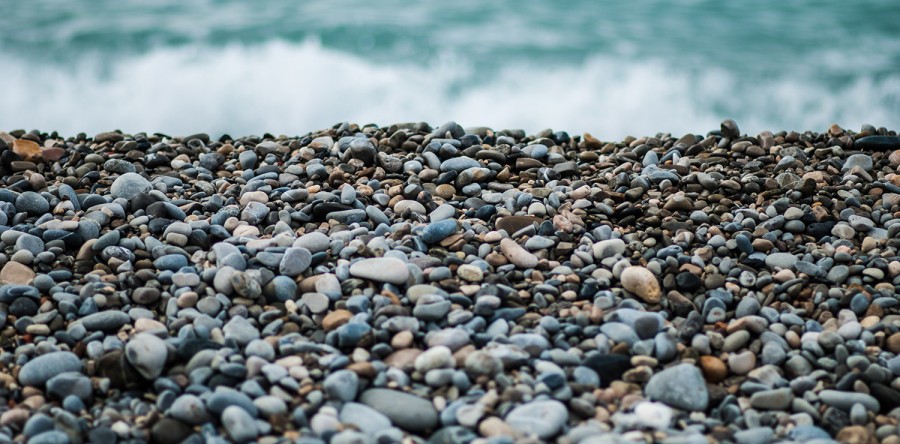 Aliquam erat volutpat